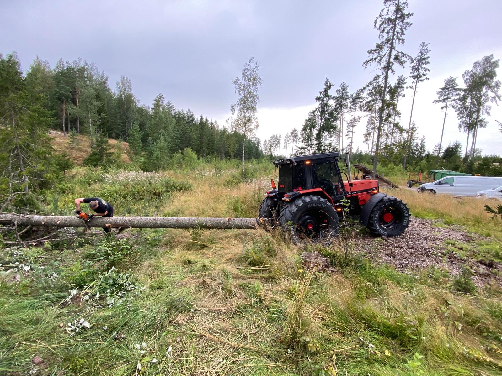 Kuvan tuulenkaato puu piti saada runkona pois kaatumapaikalta jotta puu saadaan tehtyä pölleiksi tasaiselle alueelle, siis traktori vetämään